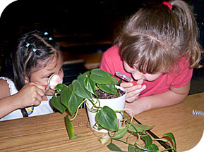 Teachers and students learning