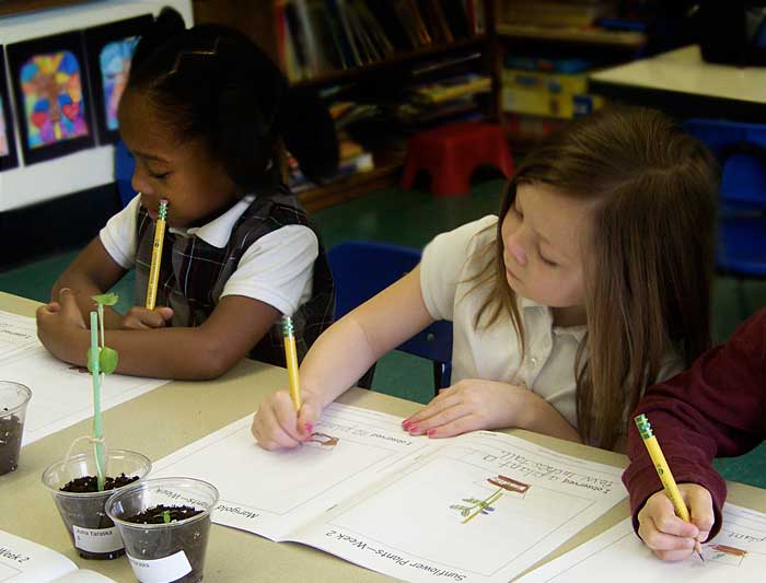 Children studying plants