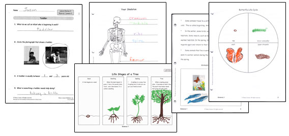 NLP_S1_samples