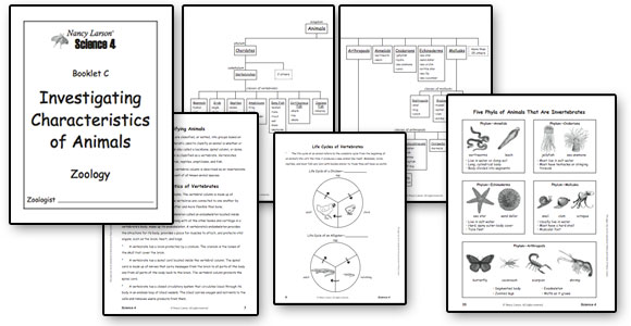 NLP_S4_samples