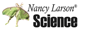 Nancy Larson Science