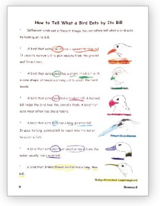 Science 2 Booklet Sample