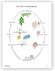 science-4-booklet